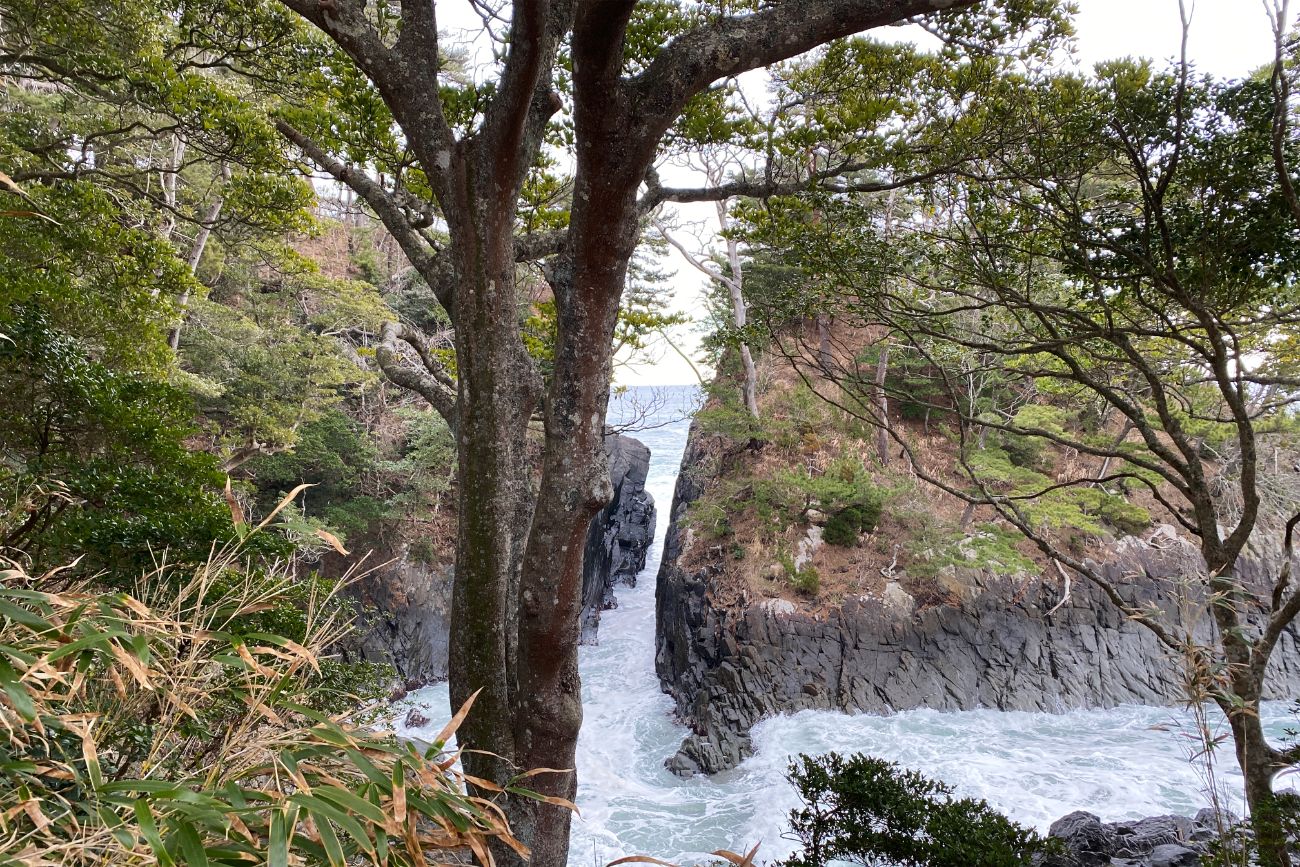 手前に幹の太い木があり、その奥に荒々しい波が流れ込む細い海峡と切り立った黒い岩壁が見え、先に水平線が覗いている神割崎の写真