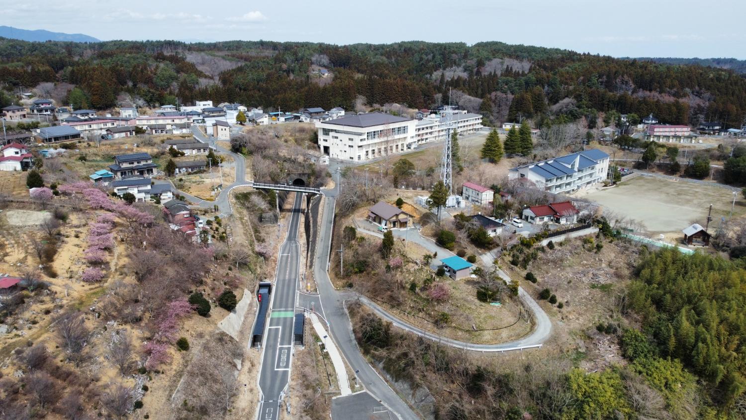中央にトンネルへと続くまっすぐな道路があり、その奥に大きな校舎が建ち並び、周囲には住宅が点在し、桜と思われるピンク色の花木が点在している春の様子をとらえた昼間の風景を高台から定点カメラで撮影した写真