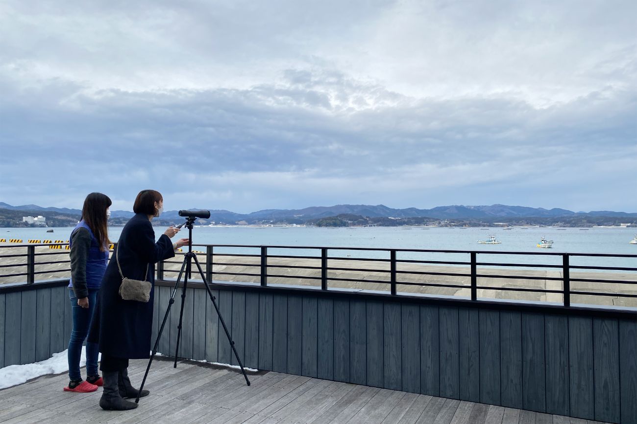 隅に雪が残った広いテラスで、二人の女性が望遠鏡を使って海の方向を眺め、コクガンの観察をしている写真