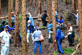 傾斜のある森の中で参加者の人たちが集まっている写真