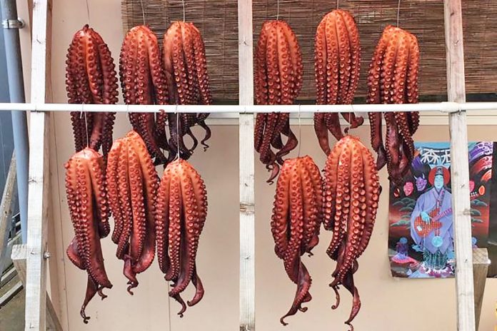 木製の枠に吊るされた赤い11杯のタコの足があり、背景には竹製のすだれとカラフルなポスターが見える写真