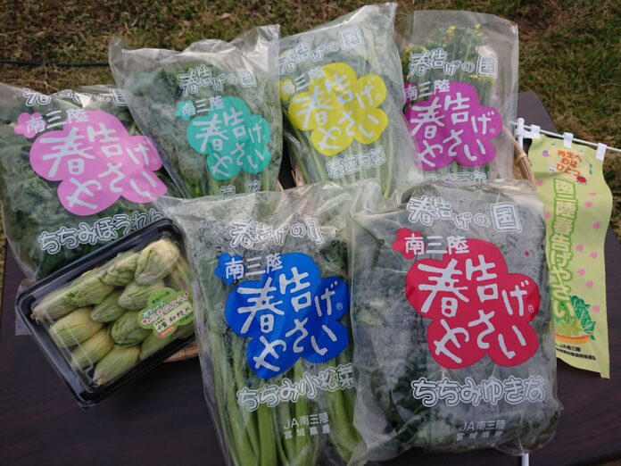 「春告げやさい」と書かれたパックにフキノトウ、ビニール袋に詰められた小松菜やほうれん草などの6種類の春野菜がテーブルの上に並んでいる写真