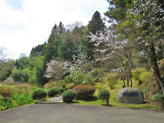舗装された広場の先に丸い石碑と整備された低木や桜の木々が広がり、奥には杉林と山の斜面が続いている公園入口の写真