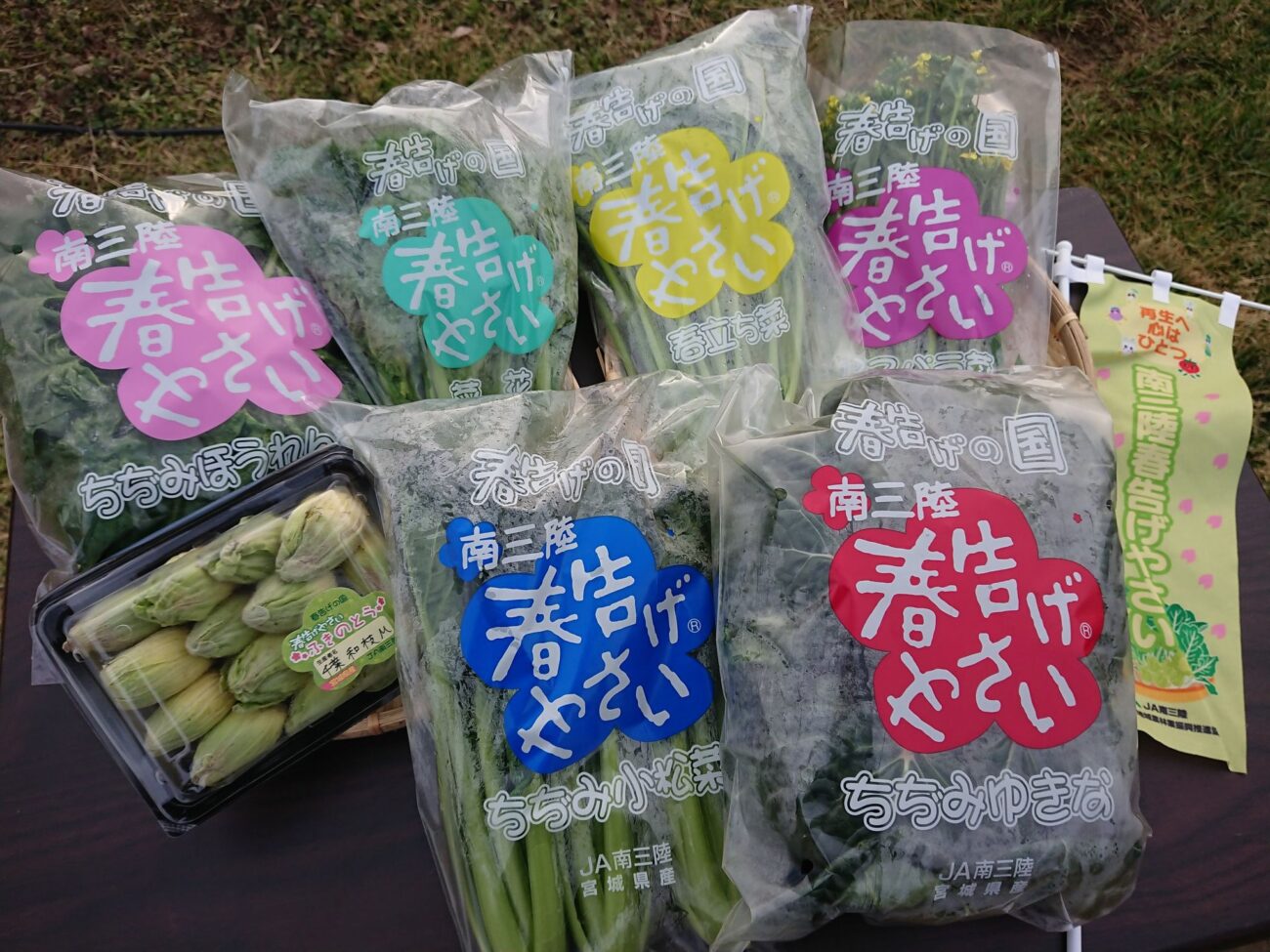 「春告げやさい」と書かれたパックにフキノトウ、ビニール袋に詰められた小松菜やほうれん草などの6種類の春野菜がテーブルの上に並んでいる写真