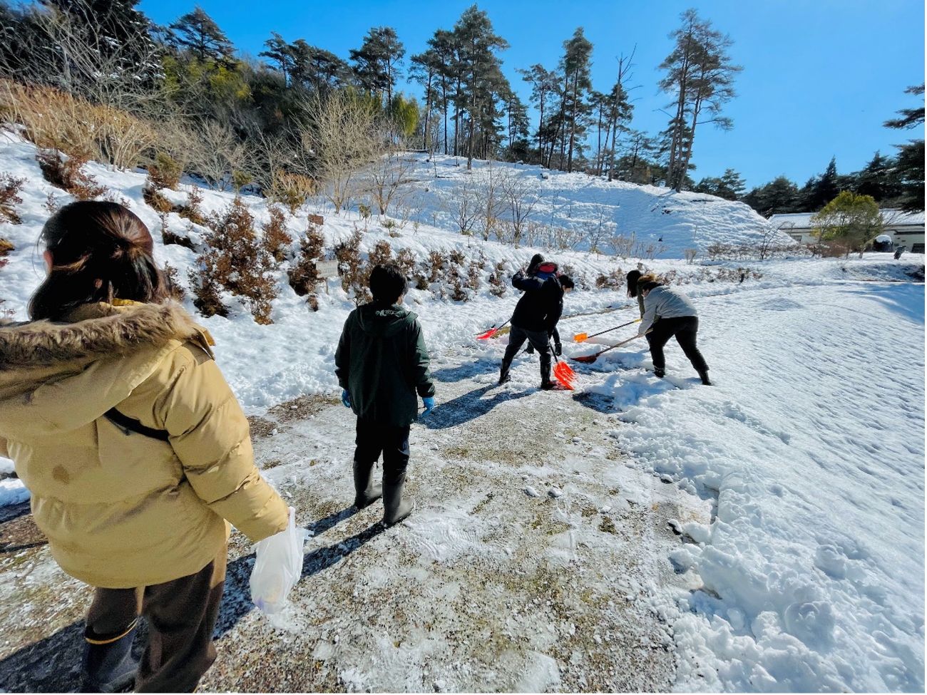 雪が積もった屋外で数人がシャベルで雪かきをしている様子の写真