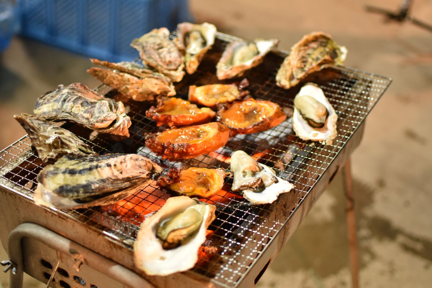 殻付きの牡蠣やホヤが焼き網の上で火にかけられていて、こんがり焼けている様子の写真