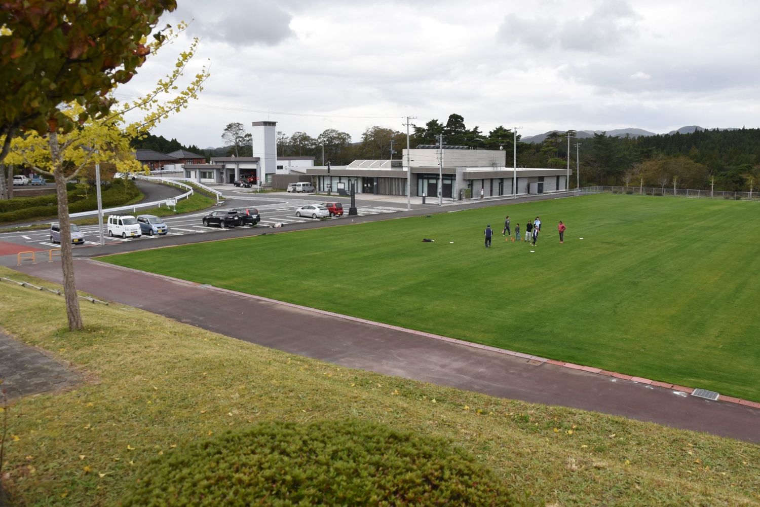 緑の芝生を全面に敷き詰めた広場で5人の方がフリスビーを投げ遊んでいる姿を高いところから全体を写した写真