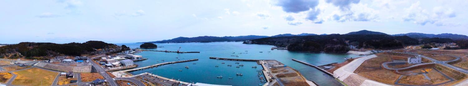 入り組んだ湾に小型の漁船が停泊し、左に漁港、右に護岸工事の進む海岸沿いの街並みが広がる志津川湾の昼間の風景を高台から定点カメラで撮影した写真