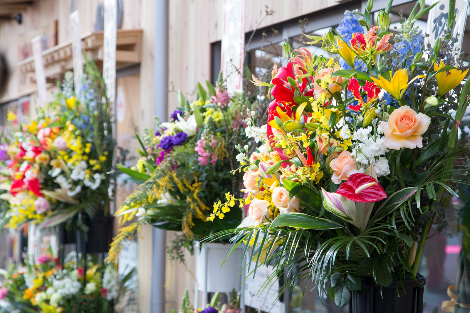 商店街の建物の前に多数の色とりどりの開店祝いの花が並べられている写真