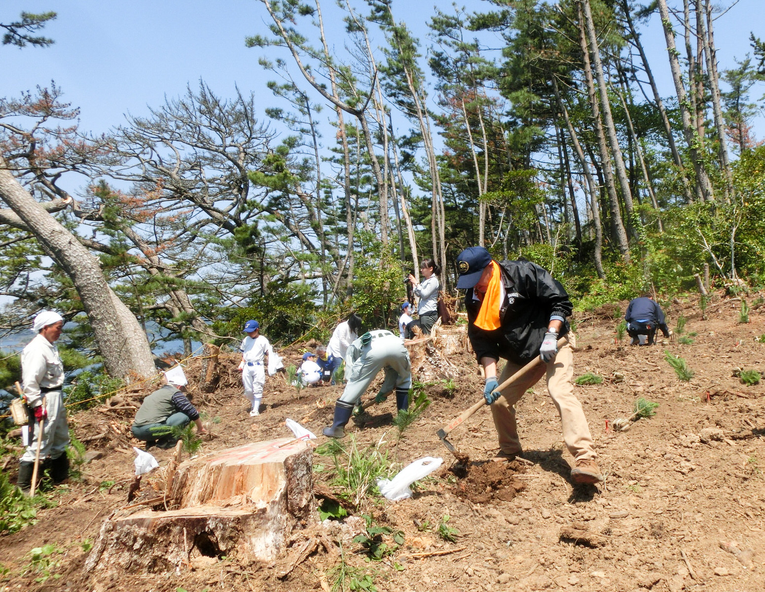 植樹会に集まった人々が、開けた土地で、鍬で土を掘ったり、かがんで植樹をしたりしている様子の写真