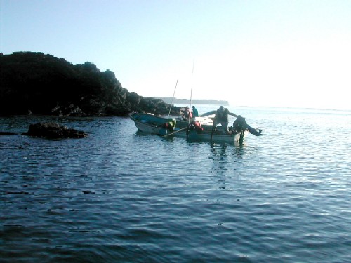 太陽が水面に反射して輝く明るい海に、数人の人が船に乗ってアワビ漁を行っている様子の写真