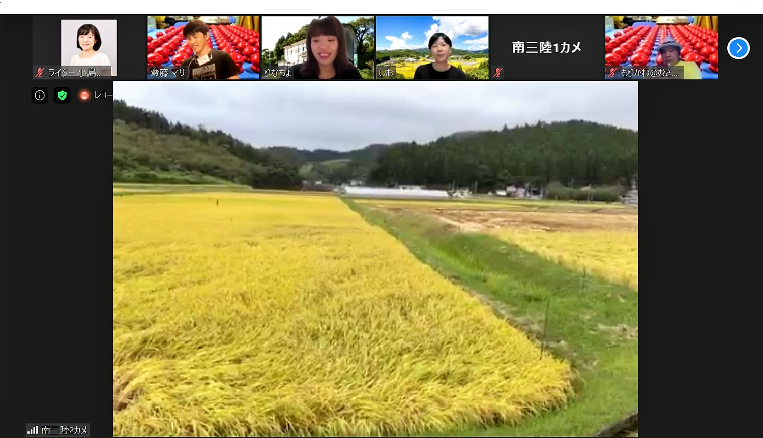 オンラインツアーの参加者たちが、映し出された黄金色の広い田んぼを見ている写真