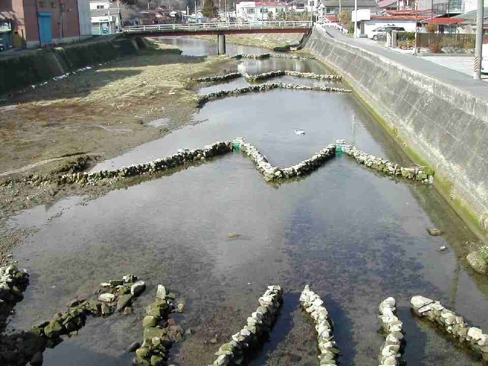 赤い欄干の橋が架かり、両岸のコンクリートの護岸の上には民家が立ち並ぶ浅い川に石積みでジグザグに整備されている伊里前川のシロウオ漁の様子の写真