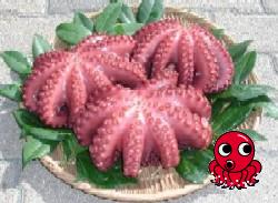 茹でられて鮮やかな赤色になった3匹のマダコが、ざるの上に並べられ、吸盤や足の質感がはっきりとわかる写真