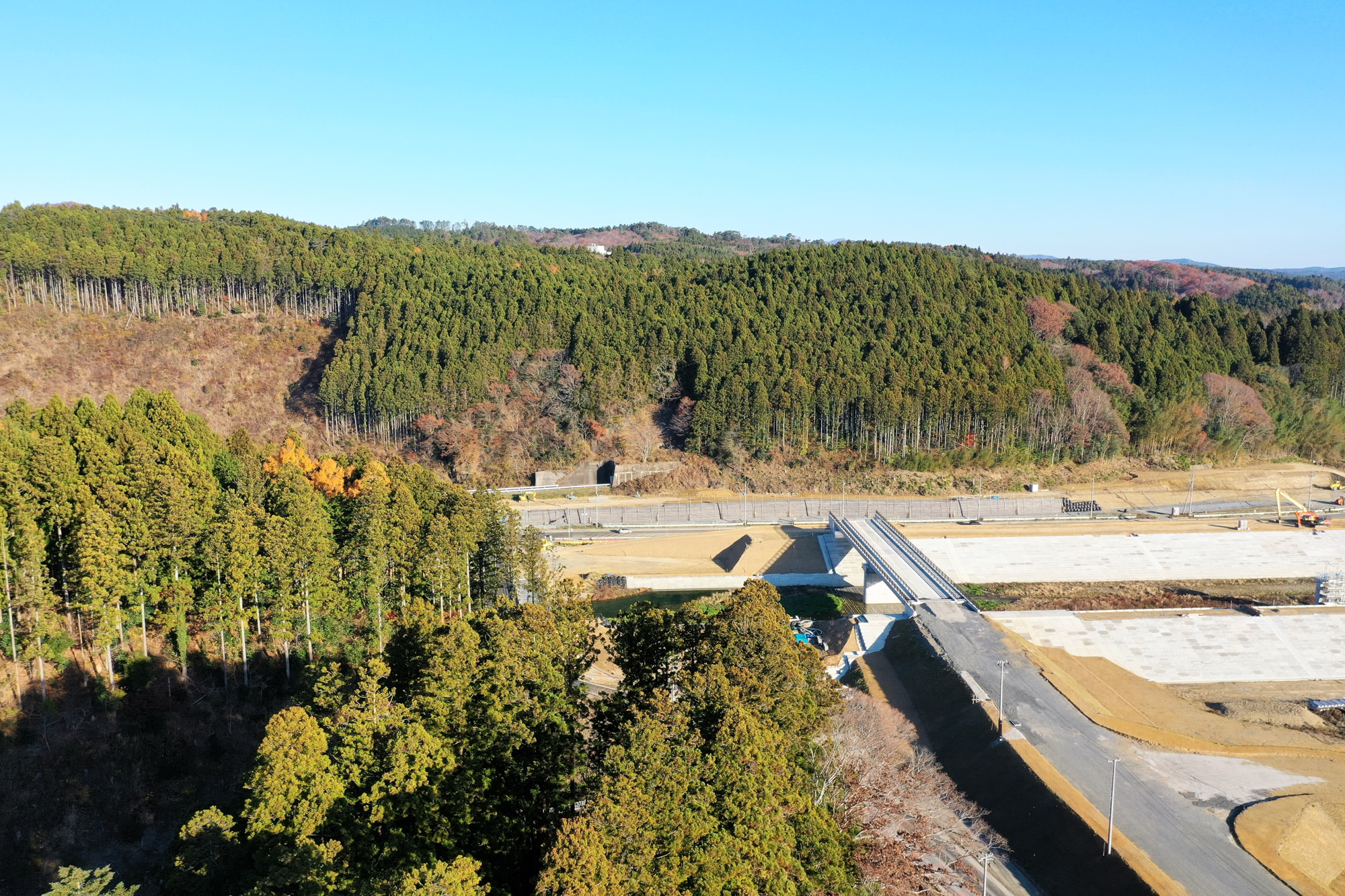青空が広がる下で、広大な森林が奥に広がり、手前には建設中の道路や橋が見られ、自然と開発が共存する様子が描かれている写真