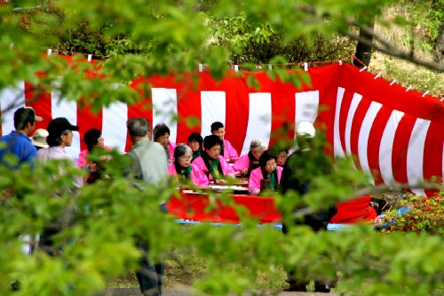 鮮やかな紅白幕が張られたステージで、女性のグループが大正琴の演奏を行っているつつじまつりの様子の写真