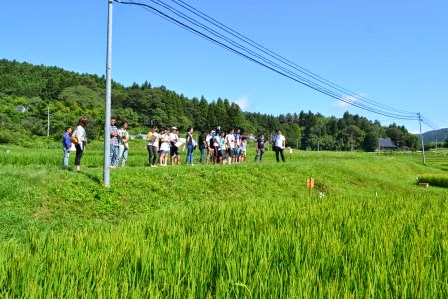 電線の通る農道沿いに立つ十数人の若者が、農地を眺めながら説明を聞いている写真