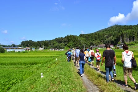 緑の田んぼのあぜ道を複数の若者が列をなして歩いている夏のフィールドワークの写真