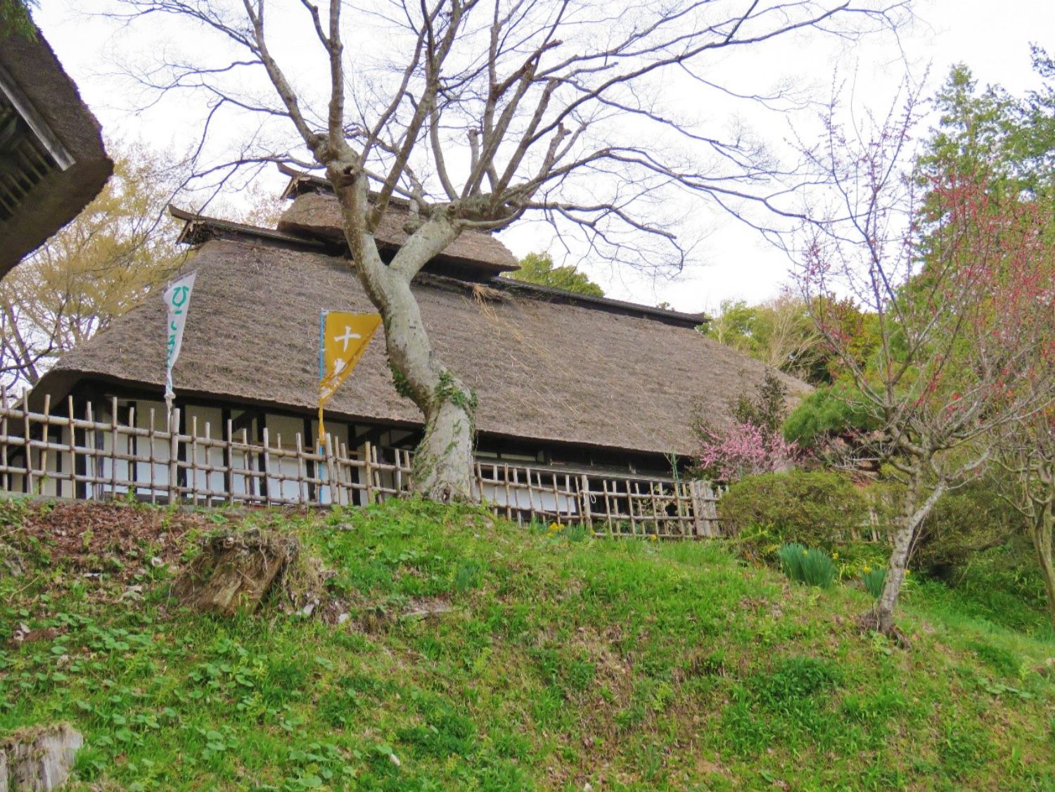 春の木々に囲まれた新緑の斜面の上に、一本の大きな木と竹で組まれた垣根があり、その奥に茅葺き屋根の日本家屋が建っている写真