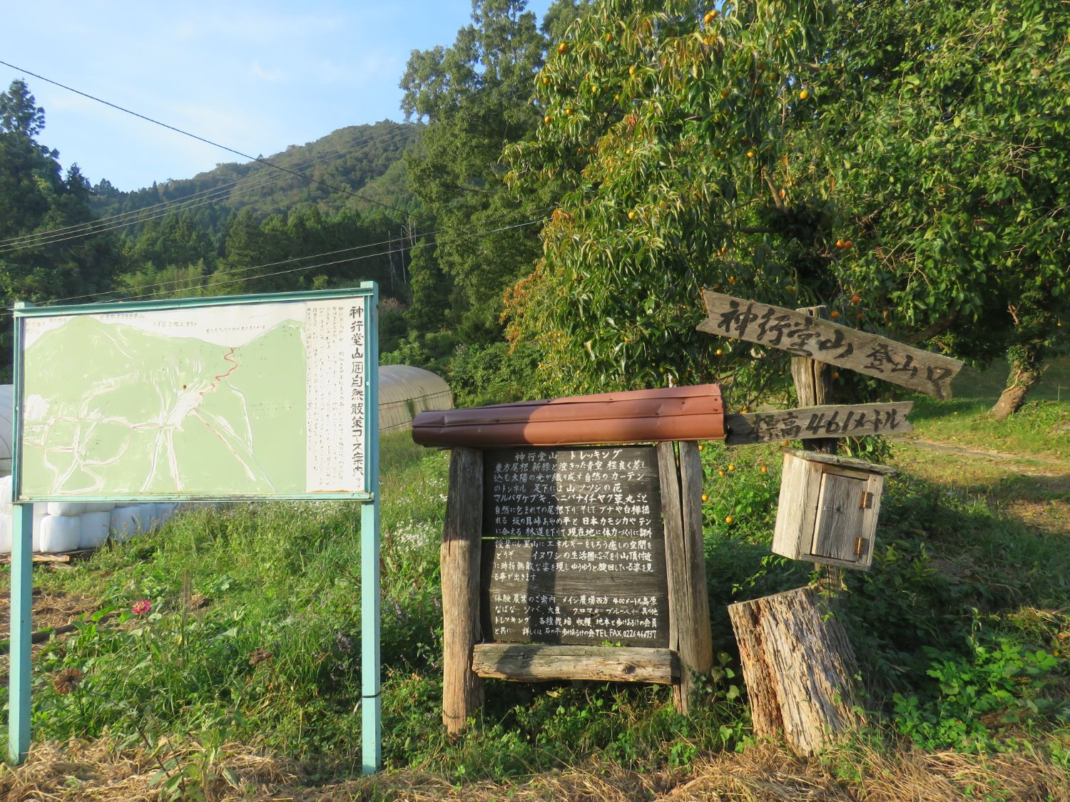 山道の入口に木製の案内板が立っており、「神籠空山登山口」「標高461メートル」と書かれた手書きの木の矢印看板や「石の平歩け歩けの会」の団体が設置した看板の写真