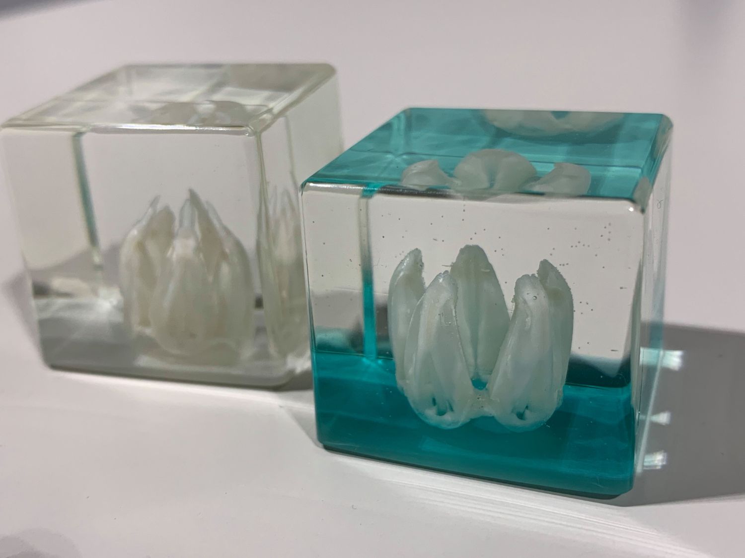 内部に白い花のようなオブジェが入った透明な立方体レジンが2つ並び、片方は青緑色に着色されている写真