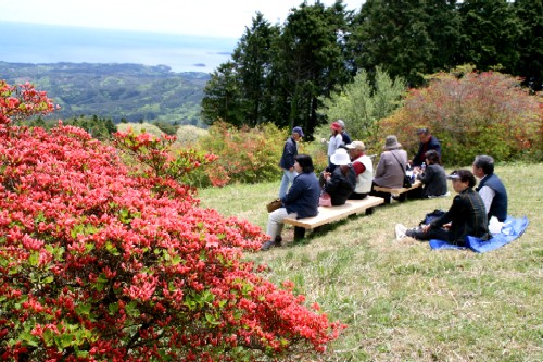 真っ赤なツツジが咲き誇る山頂の芝生の広場で、散策に来た複数の人々がベンチや敷物に座って休憩しながら、眼下に広がる青い海と緑豊かな山々の雄大な景色を眺めている様子の写真