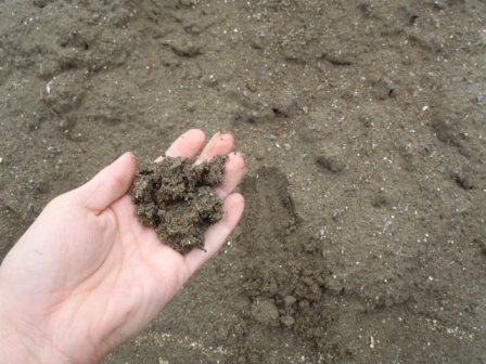 再生処理された土を左手のひらの上にのせている写真