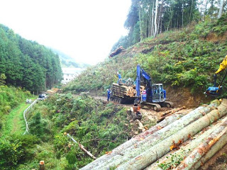 緑豊かな山の中で、切り倒された木々が地面に積まれ、重機が木材を運搬している様子が写っている写真