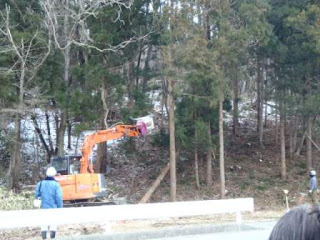 オレンジ色の重機が林の中で木をつかみながら伐採作業を行い、作業服とヘルメットを着用した人々が周りで見守っている立ち木伐採作業の写真