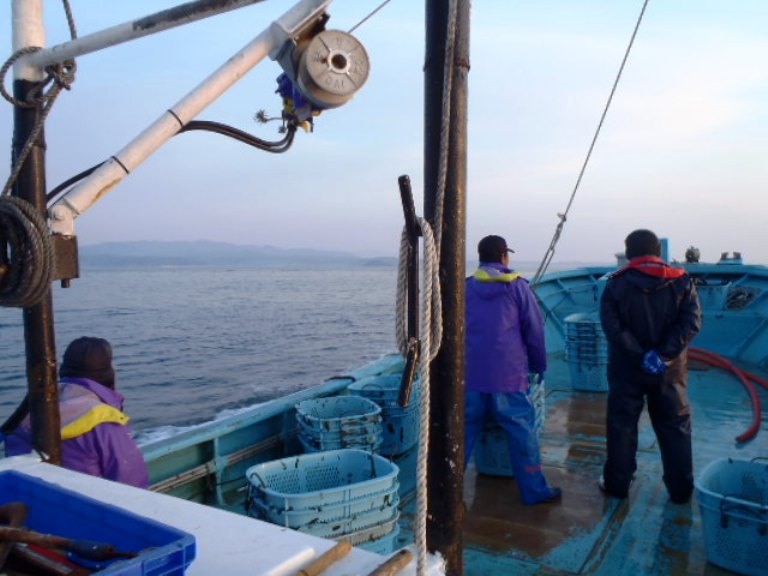 漁船の甲板で、青いカゴが積まれた中、作業着姿の漁師たちが海を見つめて立っており、海と遠くの陸地が朝の光に包まれている出漁中の様子の写真