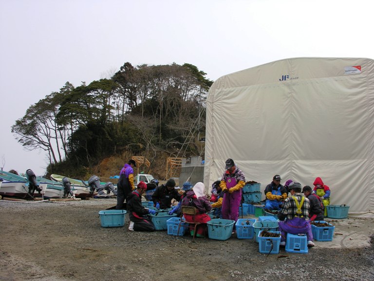 複数のボートが置かれた浜辺に設置された白いテントの前に青いカゴが並べられ、防寒着を着た十数人の人たちがわかめの仕分け作業をしている写真