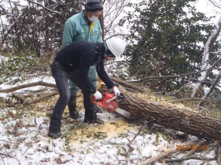 雪の積もる山林の中で、倒れた木にチェーンソーをあてて切断作業をする白いヘルメットをかぶった学生と、その隣で見守る作業着姿の年配の男性が立っている作業中の写真