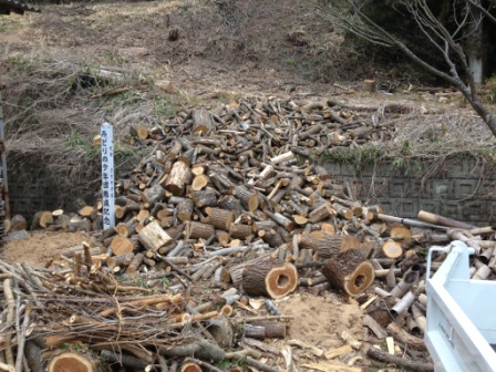 伐採された木材が山積みになっており、丸太や枝が土の上に散らばっている現場の写真