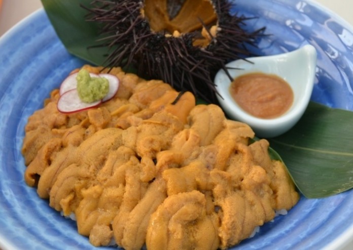 青い皿の上に、鮮やかなオレンジ色のウニがたっぷり盛られており、横には割られたウニの殻と茶色いタレ、が添えられている写真