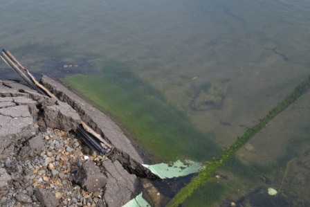 水溜りに崩れたコンクリートとむき出しの鉄筋が広がっており水に浸かっているコンクリートに苔が生えている写真