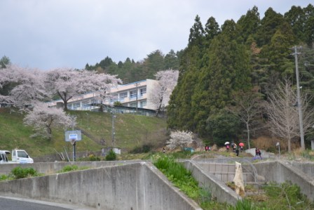 桜の花が咲く丘の上に建つ志津川高校の周囲を、数人の人々が歩いている写真