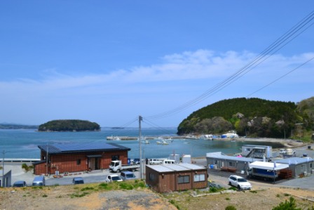海沿いに木造平屋建ての直販所「タブの木」の写真