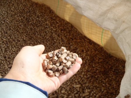 大量のペレットが白い袋の中にぎっしりと入っており小さな筒状の木質ペレットをひと握り手のひらにのせて見せている写真