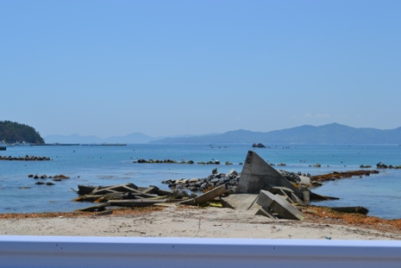 海岸に、流木やコンクリート片などの瓦礫が集まっている写真