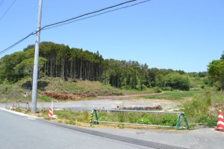 整然と植えられている山林があり手前に伐採跡が広がり平坦地に木々が積み重ねられている写真