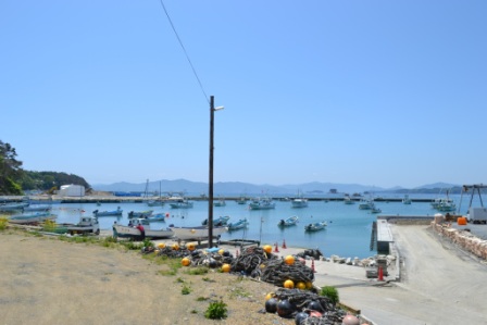 港に複数の漁船が停泊していて、岸壁にはロープや漁具が置かれ背景には穏やかな海と遠くの山々が広がっている写真