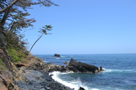 生い茂る木々と遠くに海岸沿いに広がる岩の多い海岸線と波打ち際の写真