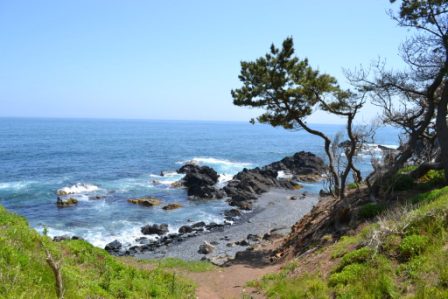 海岸沿いに広がる岩場と広がる海、その周囲に生い茂る木々の写真