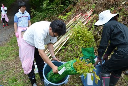 白いシャツの男性がバケツに入っている苗木を手に持ち、準備をしている様子の写真