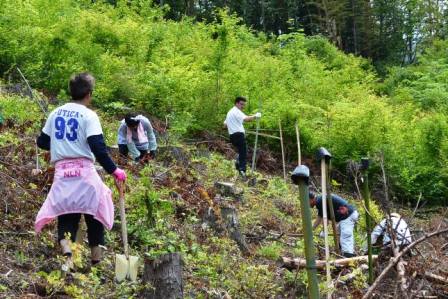 山の斜面で、複数の人がスコップや道具を使いながら土を起こして作業をしている様子の写真