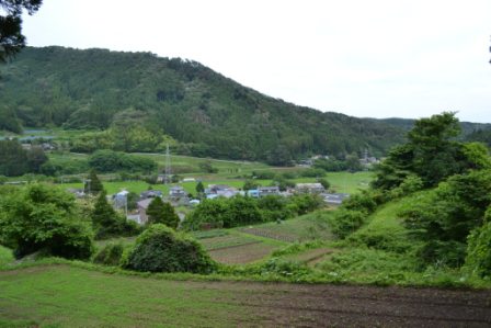 曇り空の中、背景には森林に覆われた丘が連なり、緑の田畑と木々に囲まれた小さな地区の写真