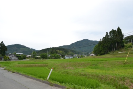 背景に山々と曇り空が見える、木々が広がり、緑の田畑と数軒の家が立ち並ぶ、静かな地区の風景の写真