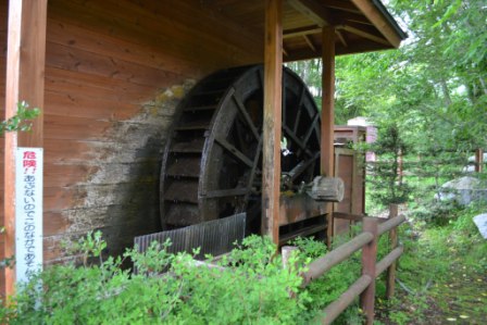 周囲には緑豊かな植物が生い茂っている中、苔や藻に覆われて古びた雰囲気を醸し出している手前に、注意看板が立てられている木造の建物の側面に設置された大きな水車の写真