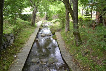 木々の緑に囲まれた静かな森の中を、小川が石畳の道に沿って流れており、水中にはいくつかの岩が点在し、川岸には草木が生い茂っている自然豊かな小川の写真