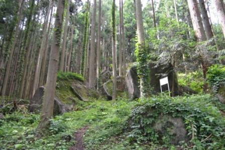 背の高い木々とパックリと割れ目の入った大きな岩が点在する深い森の中に、細い土の道が静かに伸びており、右側の巨石の傍には白い看板が立っている、自然の静けさを感じさせる森の写真